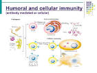 immunity, cellular