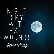 Kết quả hình ảnh cho Ocean Vương, Night sky with exit wounds