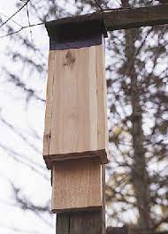 build a bat house por woodworking