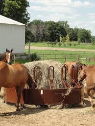 selecting and storing horse hay