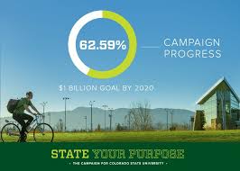 Record Support Propels Csu Annual Fundraising To Nearly 200