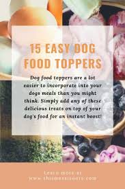 easy homemade dog food recipe this