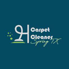 7 best spring carpet cleaners