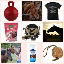 23 top gifts for horse for any