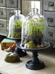 Growing Under Glass A Guide To Cloches