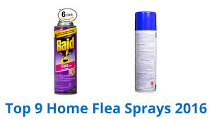9 best home flea sprays 2016 you
