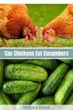 can-chickens-eat-cucumber-peels