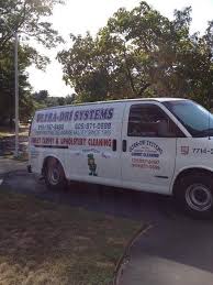 professional carpet cleaning