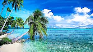 summer background tropical beach