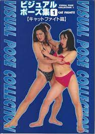 Visual Pose Collection Cat Fight Hen (2000) ISBN: 4877770313 [Japanese  Import]: 9784877770310: Books - Amazon.ca