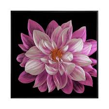 china pink flower blossom 3d metal oil