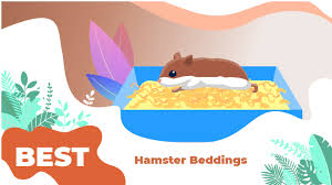 the 5 best hamster beddings of 2022