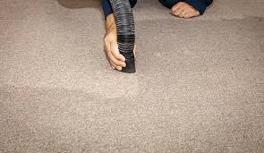 water damaged carpet cleanup in dallas