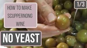 make scuppernong wine with no yeast