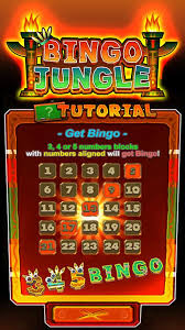 Make sure you have enough space on your android device for the download. Bingo Jungle Apk 2 0 0 Download For Android Download Bingo Jungle Apk Latest Version Apkfab Com