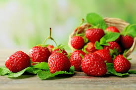 strawberries stock photos royalty free