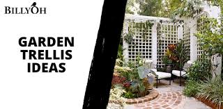 Garden Trellis Ideas For Added Charm