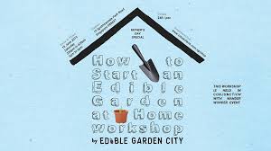 Work How To Start An Edible Garden