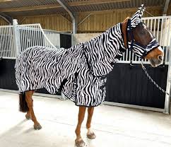 zebra print fly mesh rug for horse pony