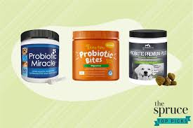 About us we are a small loving in home hobby breeder of pure bred registered shih tzu in the piedmont triad area of north carolina. The 8 Best Probiotics For Dogs In 2021