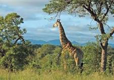 Image result for list of national parks in south africa