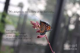 We delight in the beauty of the butterfly, but rarely admit the changes it has gone through to achieve that beauty. Butterfly Quote Art Print Photograph By Ella Kaye Dickey