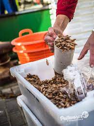 Frische Krabben direkt vom Kutter im Hafen von Pellworm | Pellworm4you