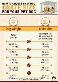 Dog Crate Size Chart To Fit Your Puppy Hellow Dog