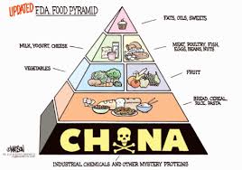 The Usda Food Pyramid The Original Diet Scam Gll Lifestyle