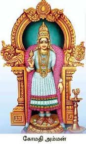 Image result for Sankara Narayanar temple