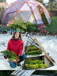 Diy Greenhouses With Easy Tutorials