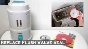 replace dual flush toilet valve seal