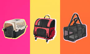 best cat carrier for your pet