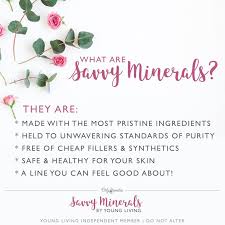 savvy minerals makeup