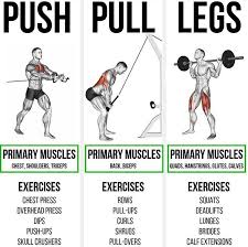 push pull leg routine benim k12