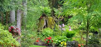 How To Create A Woodland Garden Design