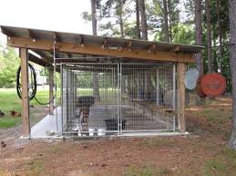 Ideas For Dog Kennel Roof Diy