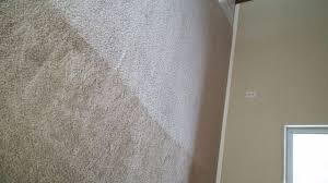 florida carpet cleaning chris carpet