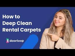 deep clean al property carpets