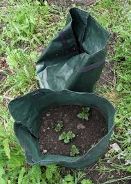 Gardening With Grow Bags What Is A