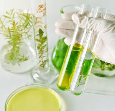 La Saponaria - Cosmetica consapevole e prodotti certificati biologici