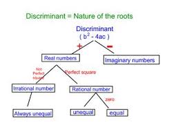 Discriminant Roots Of Quadratic Equation Calculus Nature