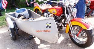 24 silly motorcycle sidecars that make