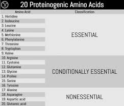 Amino Acids The Science Behind The Labels Breaking Muscle