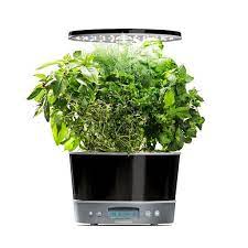 Aerogarden Harvest Elite 360 Platinum