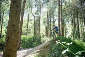Here is a master list: Forest Of Dean Gloucestershire Trail Centre Guide Mbr