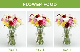 How to keep flowers fresh overnight. How To Make Flowers Last Longer 9 Tricks Proflowers