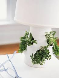fanciful indoor herb gardens better