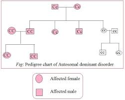 Solved How Is An X Linked Trait Different From An Autosomal