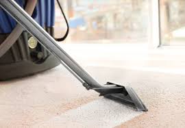 carpet cleaning company grabone nz
